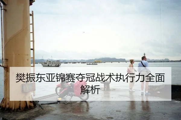 樊振东亚锦赛夺冠战术执行力全面解析